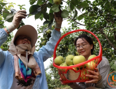 灌南：田楼镇农旅融合促振兴
