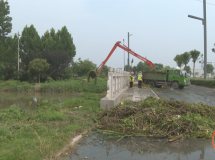 灌南：清理城区河道杂草 保障行洪安全
